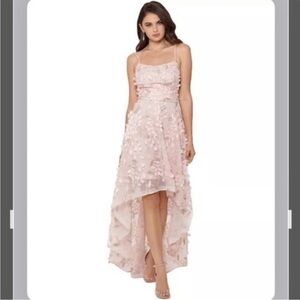 XSCAPE Floral-Appliqués High-Low Gown in Blush